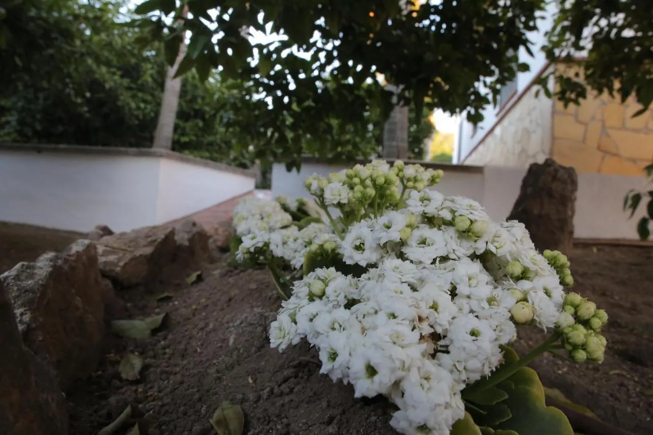Casa Rural Tipica Andaluza Guest House Alhaurin el Grande Spain